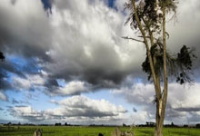 为什么会存在美团核销第三方接口API服务商